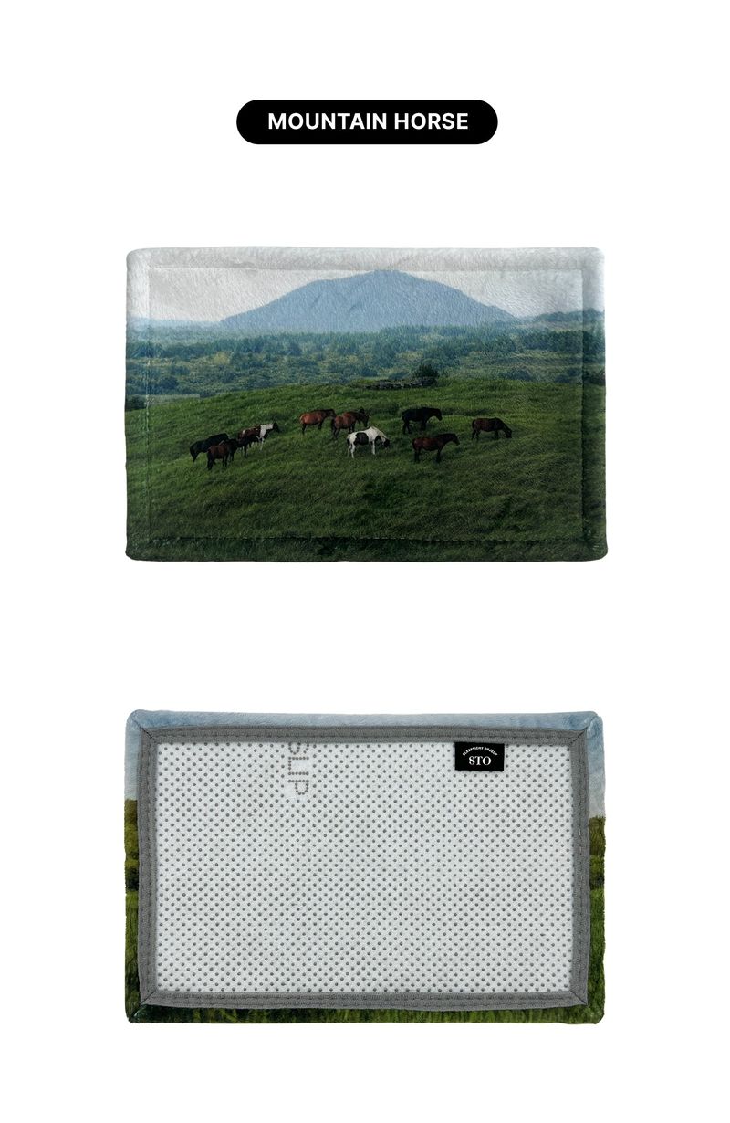 JEJU desk rug - misty forest