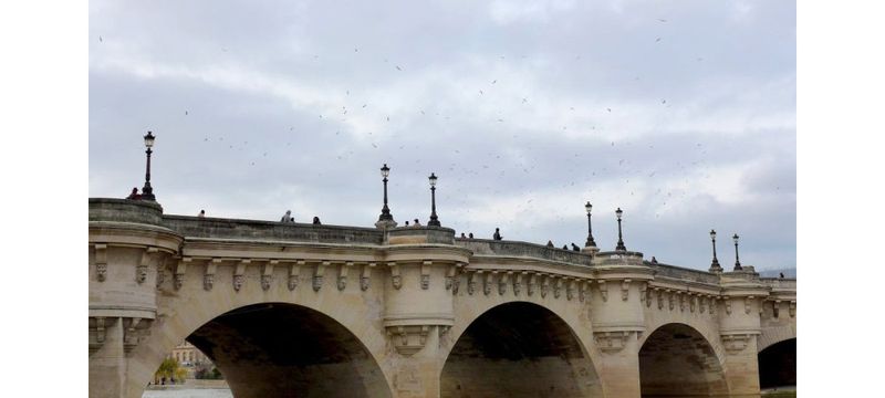Pont-neuf suede collar jacket