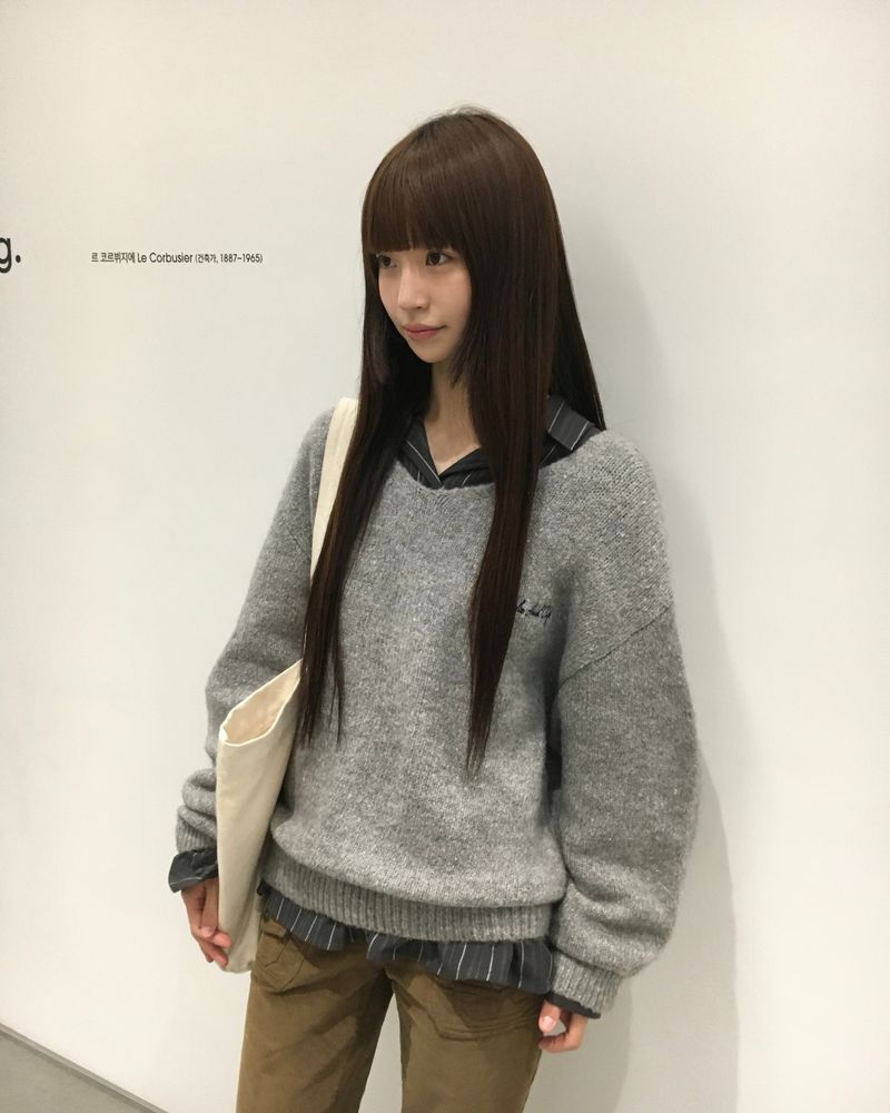 [ORIGINAL] Furry Loose-Fit V-Neck Knit