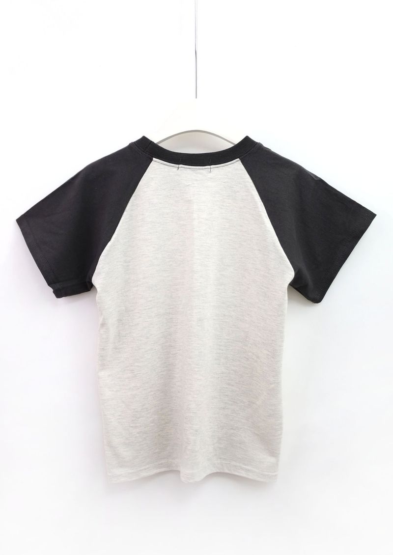 Toned-Down Raglan Short Sleeve T-Shirt