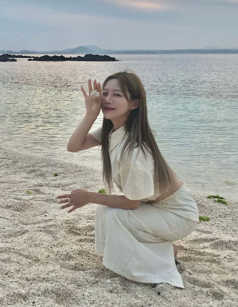 Arco iris（アルコイリス）の「Sandy nylon set up shirt（Tops）」