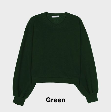 Plain Color Crop Sweatshirt