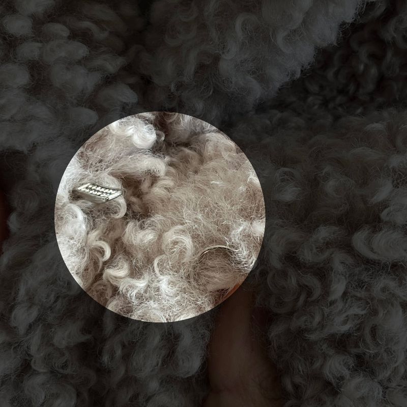 Teddy Hug Fuzzy High Neck Fur Jacket