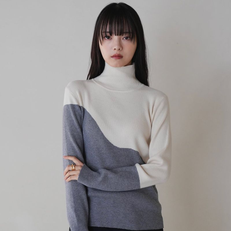 bicolor turtleneck