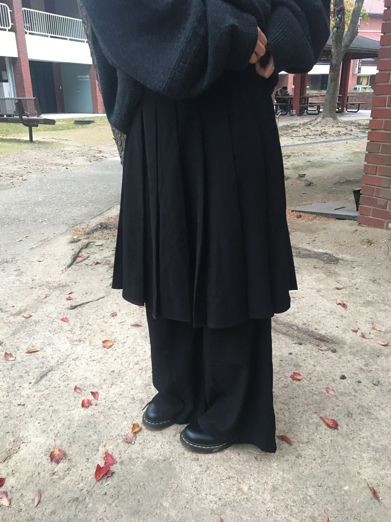 pleats skirt pants