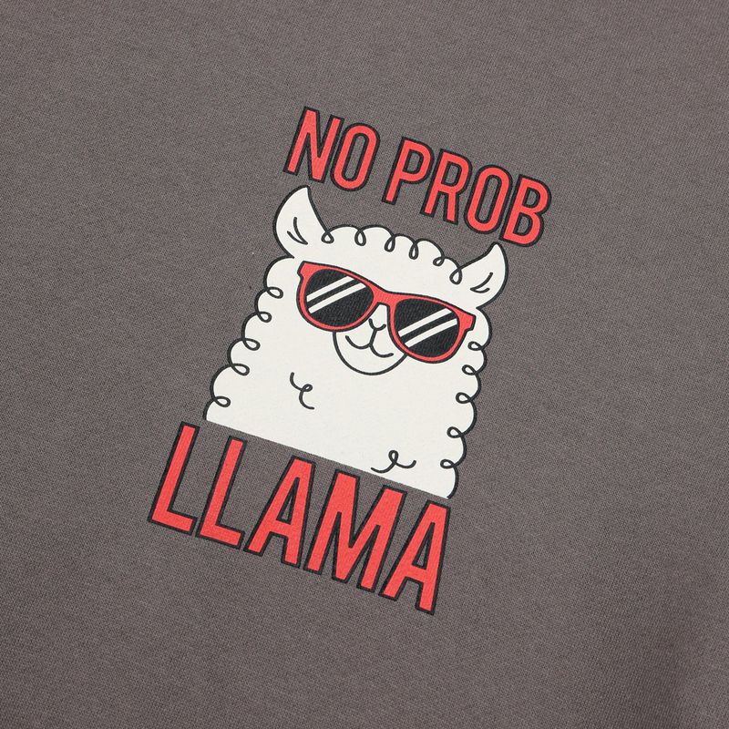 Couple Lama Character Sweatshirt 3COLOR