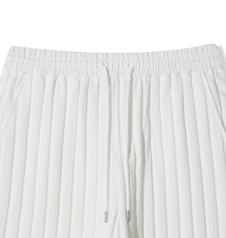 Plen Pleated Banding Shorts