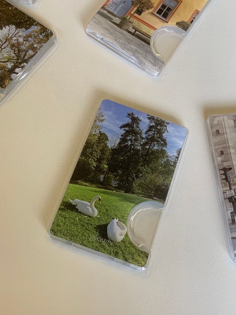 [Magsafe] swans in the sunlight cardslot case