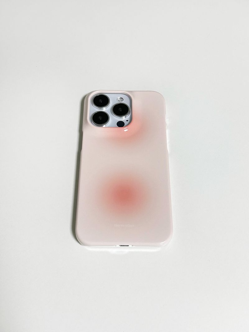 dust hard case-apple