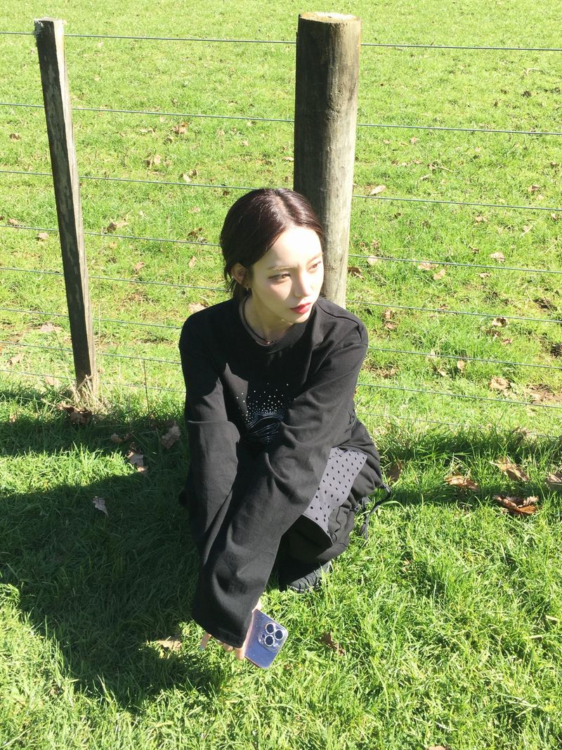 Hotfix Dolphin Loose Long Sleeve (2c)