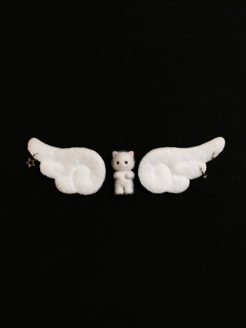 Angel wings (hairpin & badge)