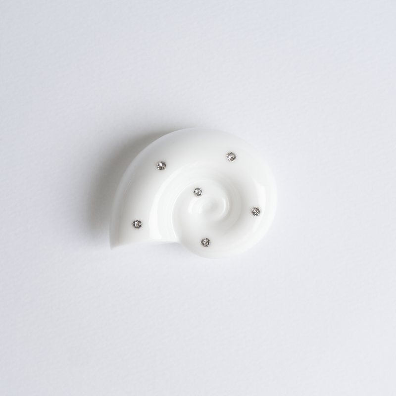 Ammonite Tok Standard_ White
