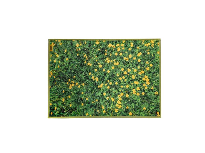 [1+1] Landscape foot mat