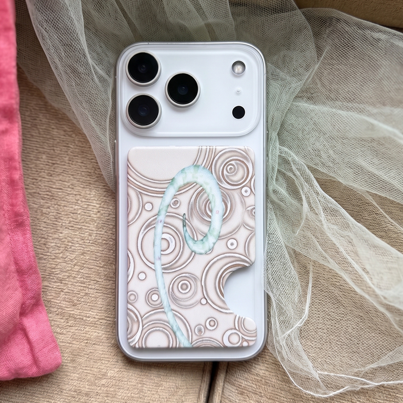 gobi magsafe card pocket 