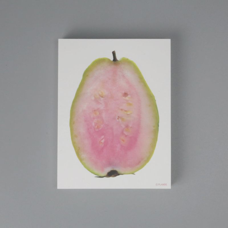 objet memo vol.6-fruit SET