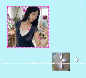 [silver glass bumper] jelly ff
