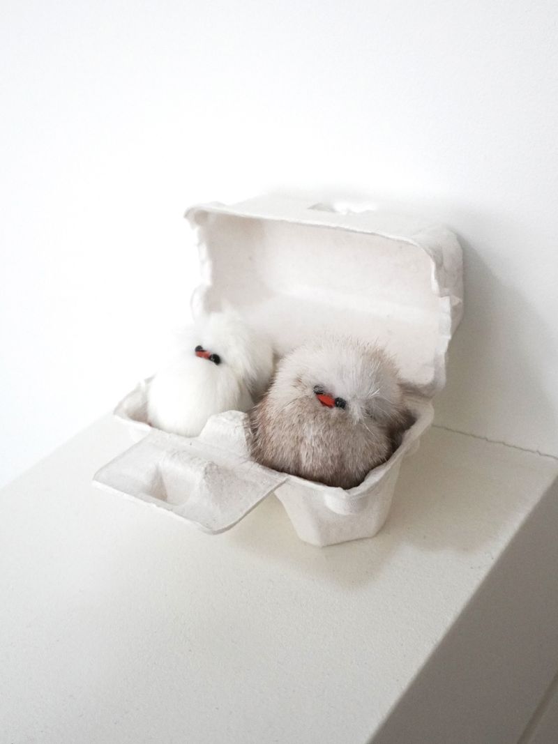 Cosymosy Baby Bird Keyring Set