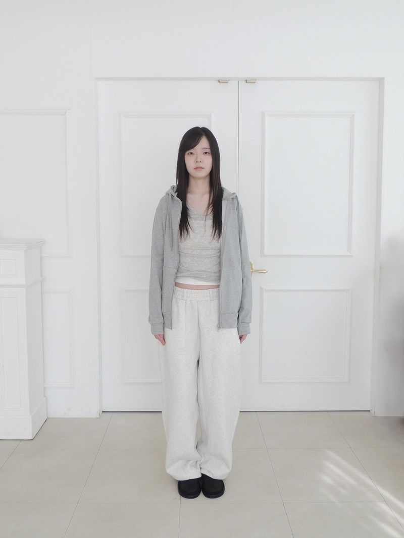 regular hood zip-up (4c)