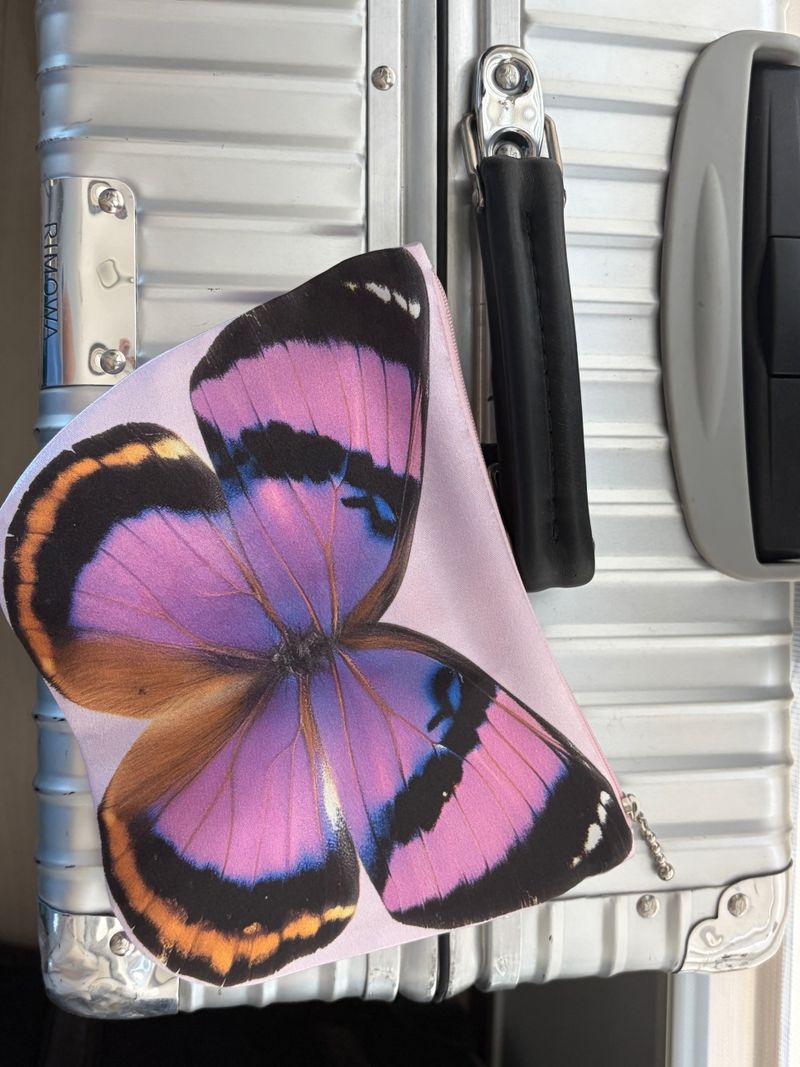 Butterfly Pouch