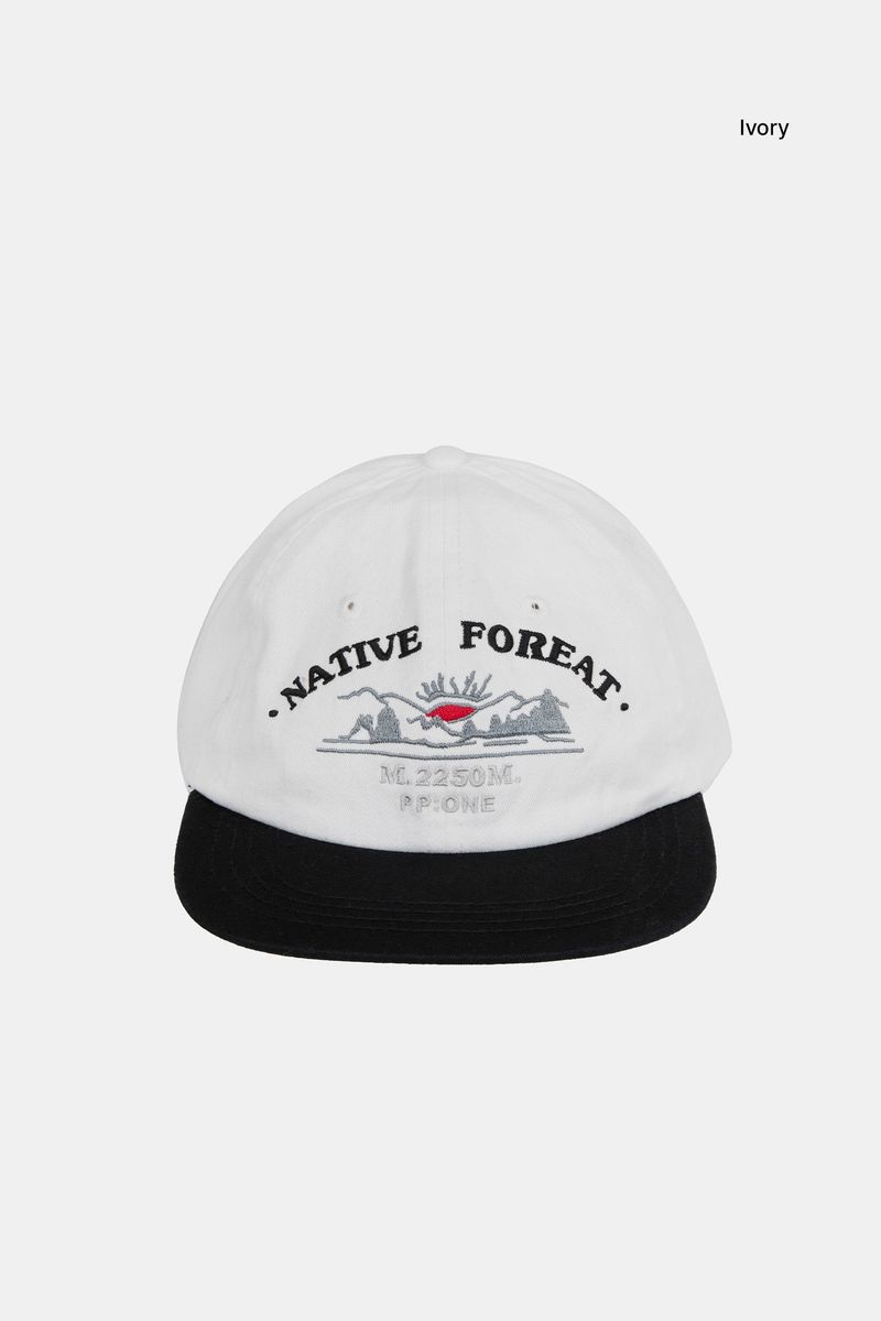 Native embroidery ball cap