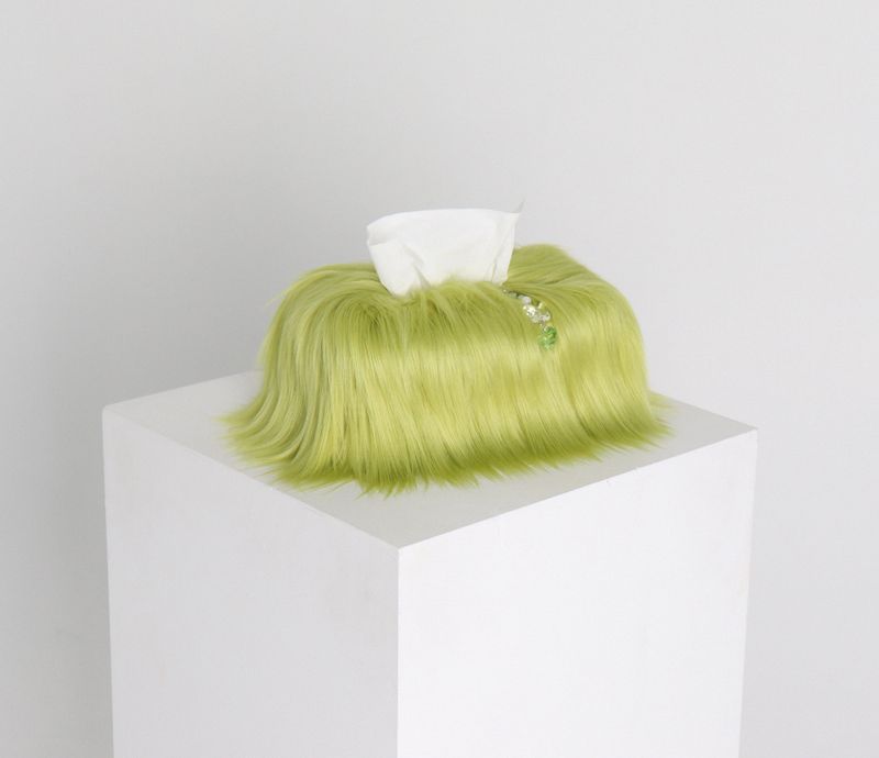 green apple tissue case