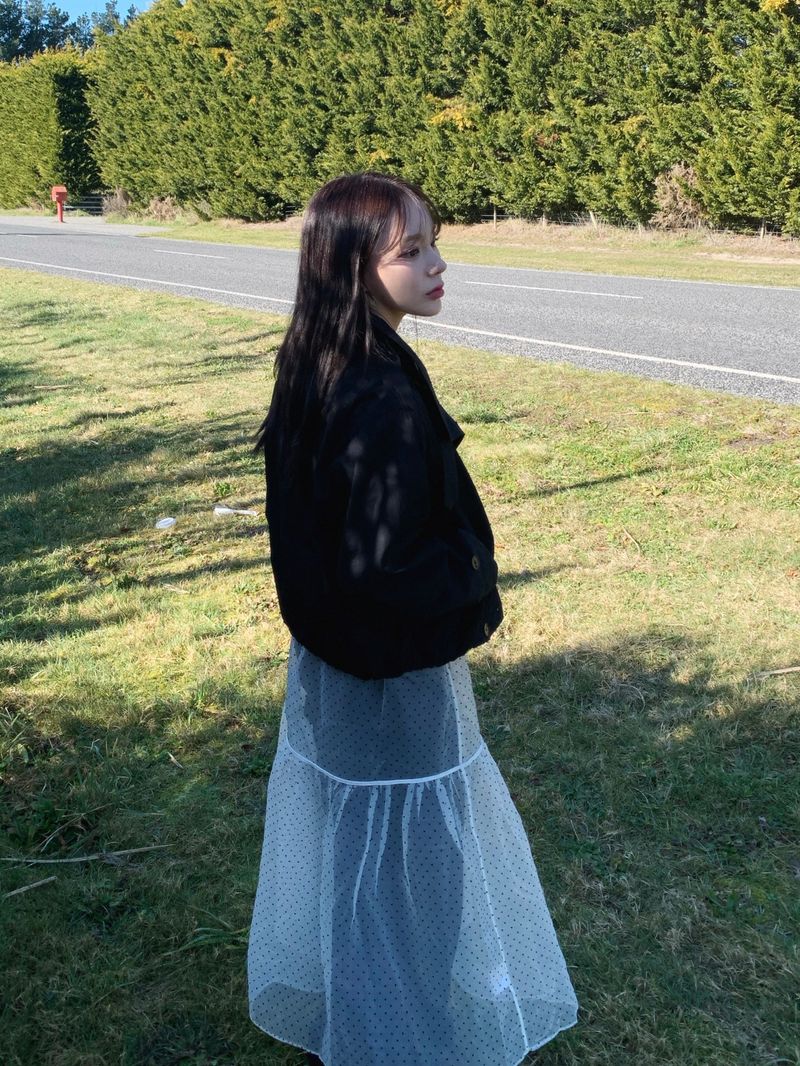 Chiffon See-Through Layered Skirt (1c)