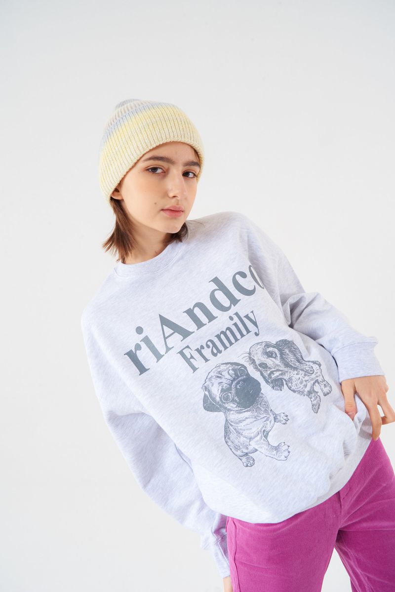 Framily Sweatshirts Light melange