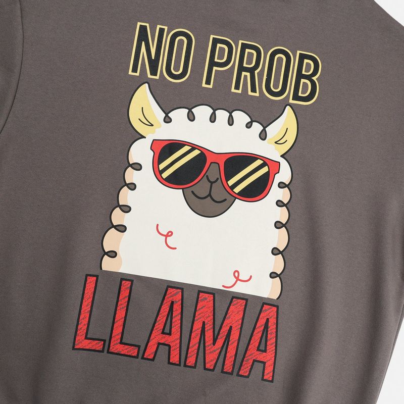 Couple Lama Character Sweatshirt 3COLOR
