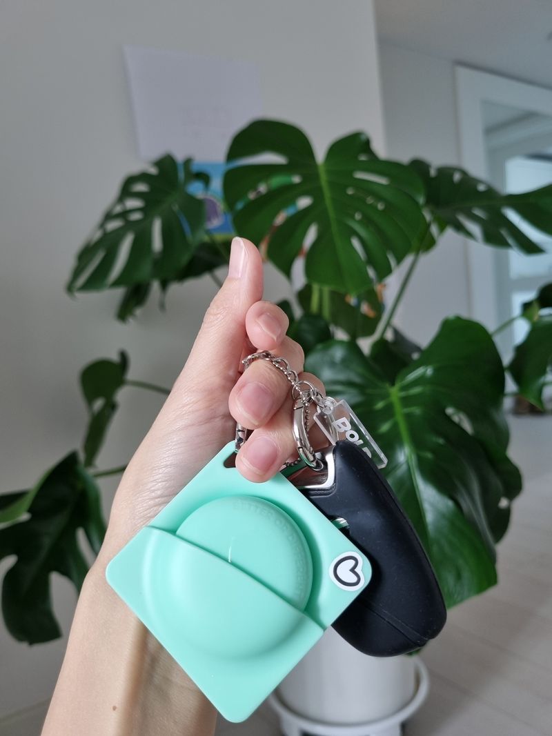 BorD Keychain Perfume Mint Set - Citrus