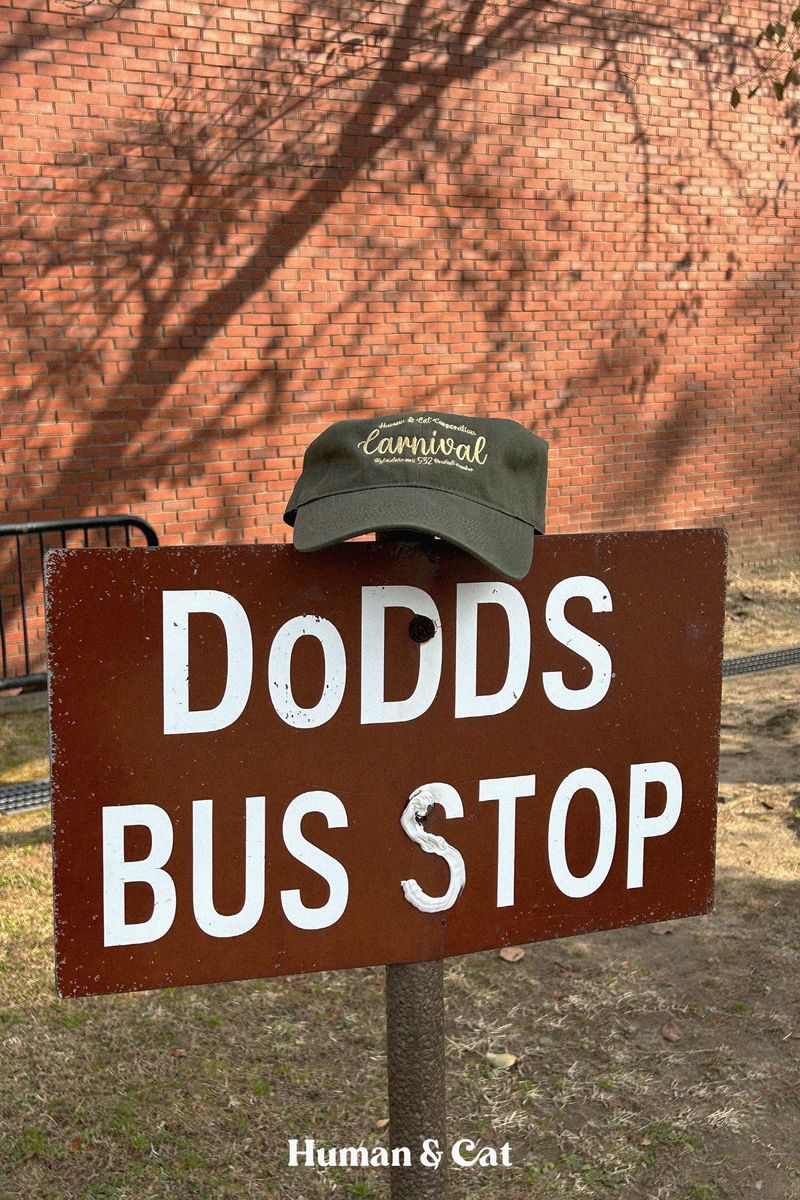CARNIVAL WASHED BALL CAP / KHAKI