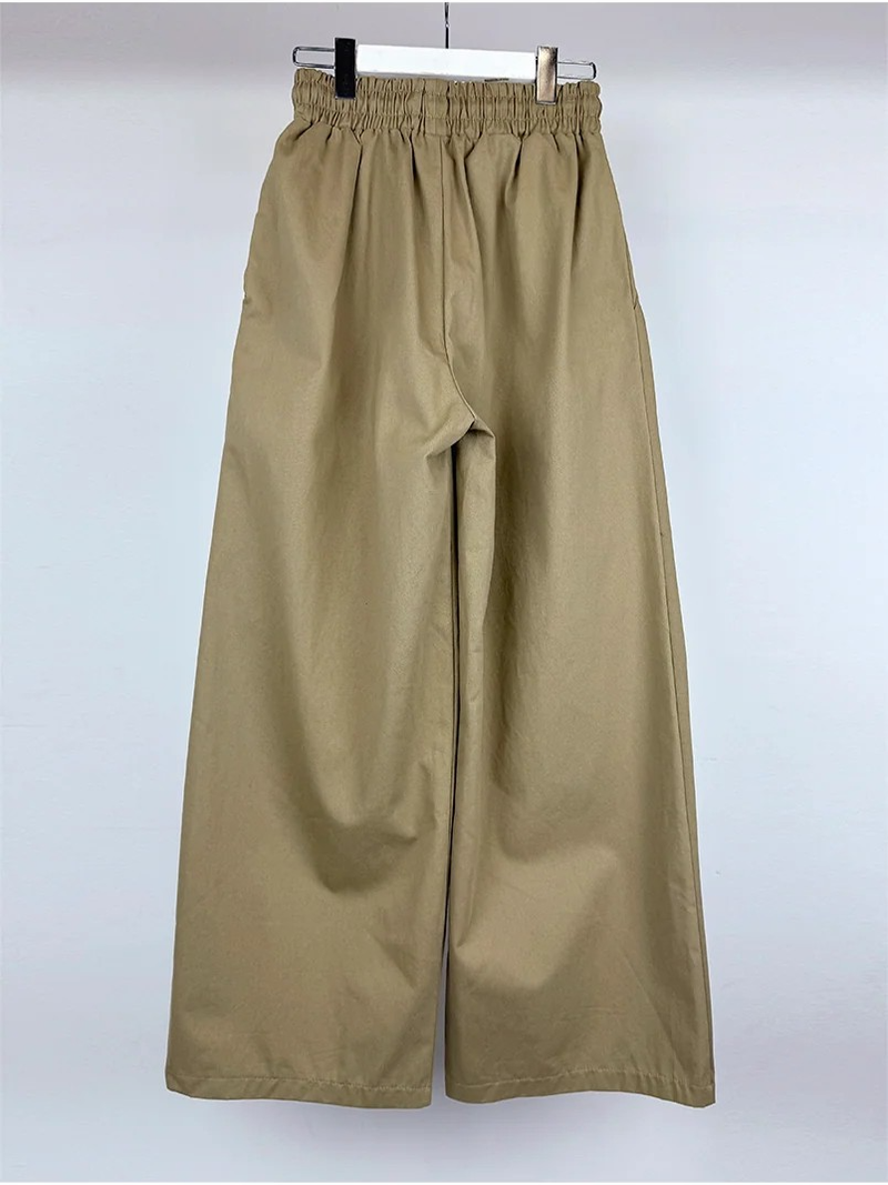 TWO PINTUCK WIDE PANTS (3C)