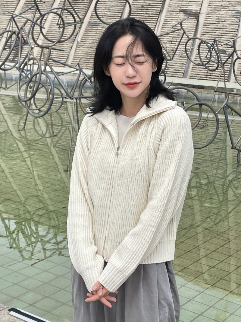 Arco iris（アルコイリス）の「Turtleneck knitwear zip-up （Tops）」