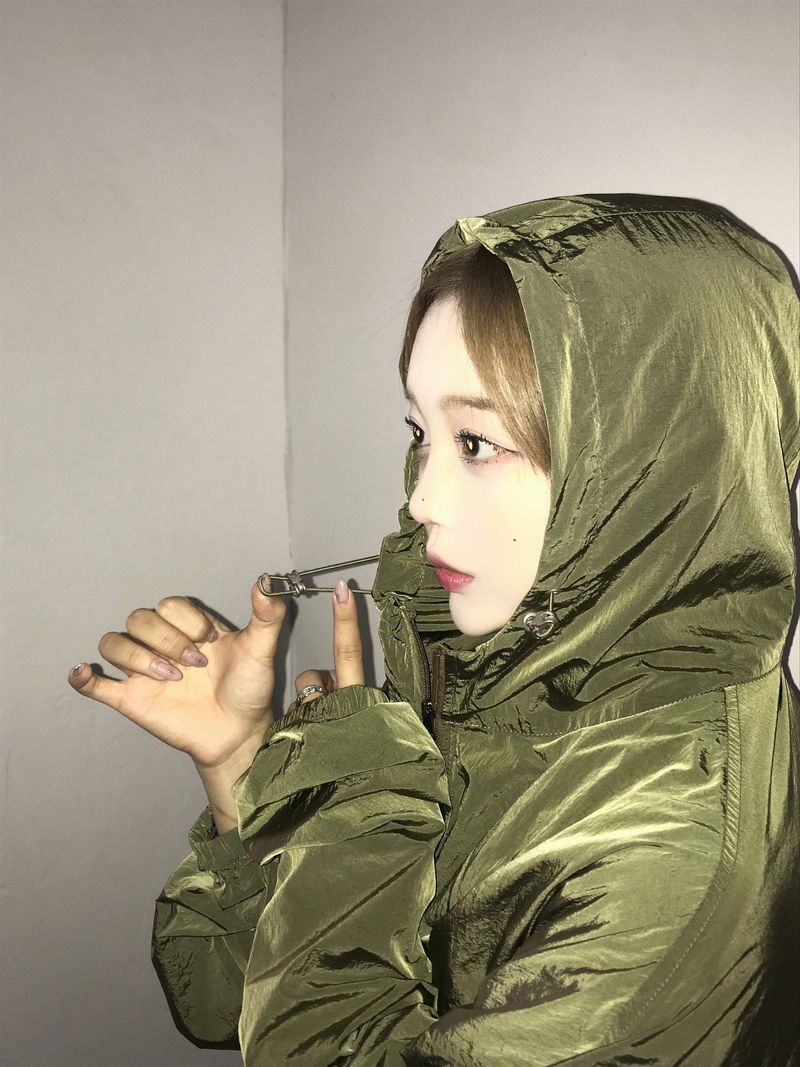 Lucas hood windbreaker jacket