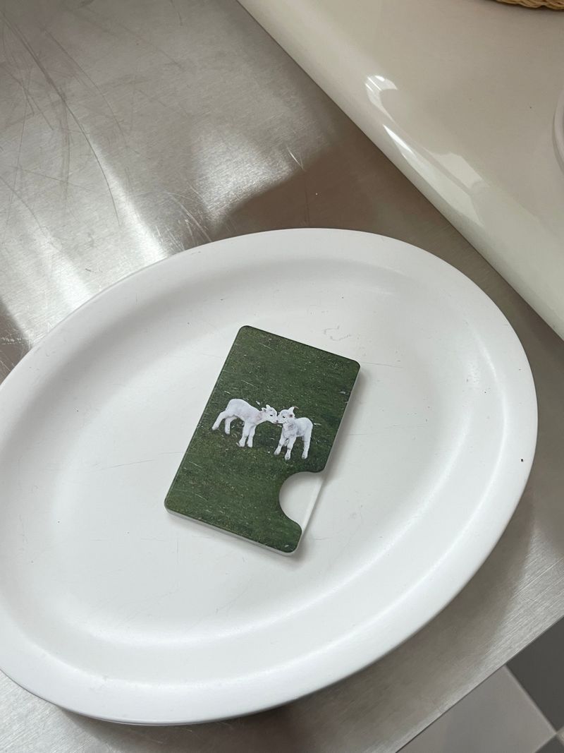 [loving sheep magsafe cardslot]