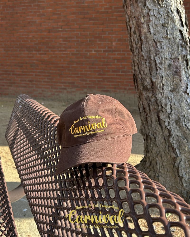CARNIVAL WASHED BALL CAP / BROWN