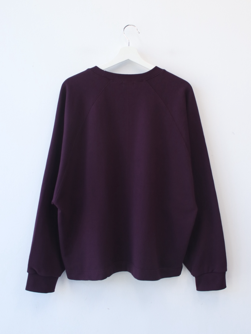 boxy raglan crop sweatshirt 