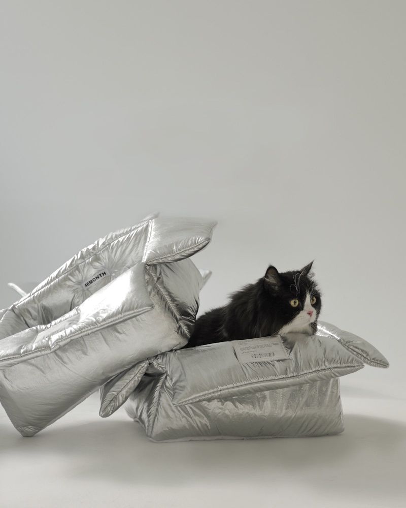 CAT CUSHION BOX_silver