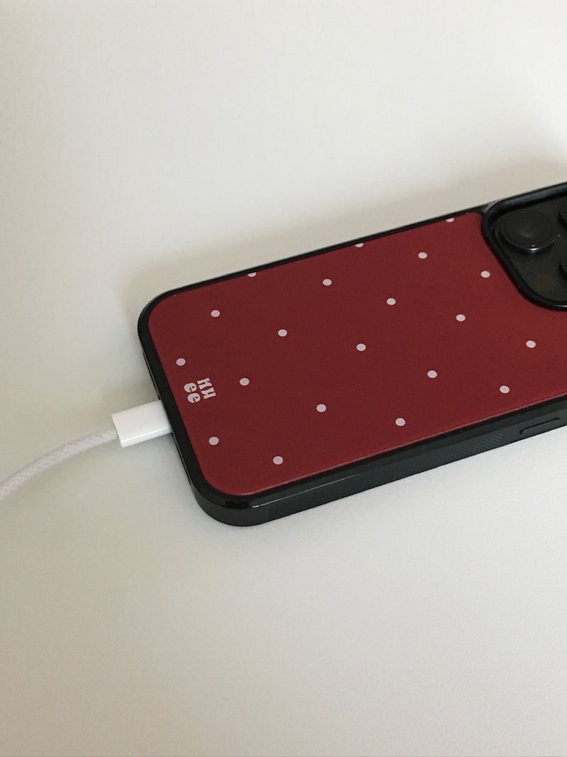 red.dot case 