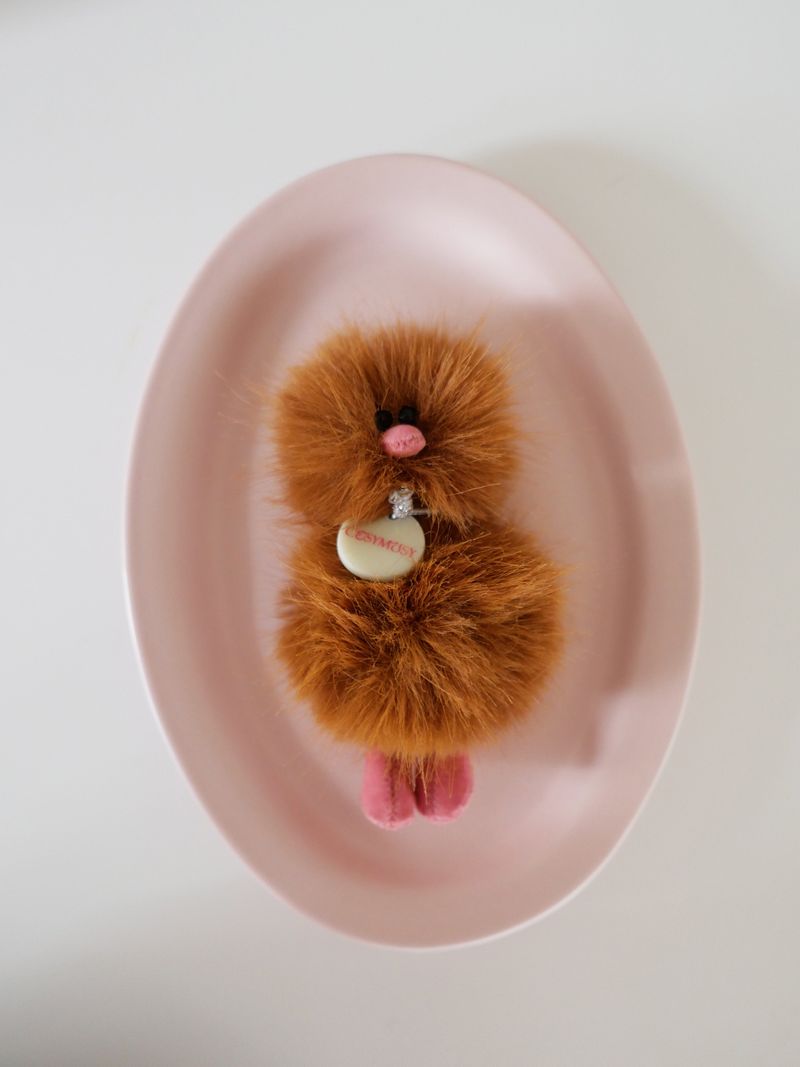 Cosymosy Mini Bird Keyring - Choco