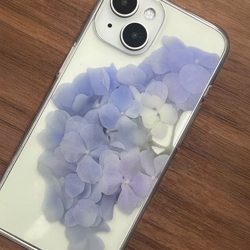 pressed flowers : hydrangea