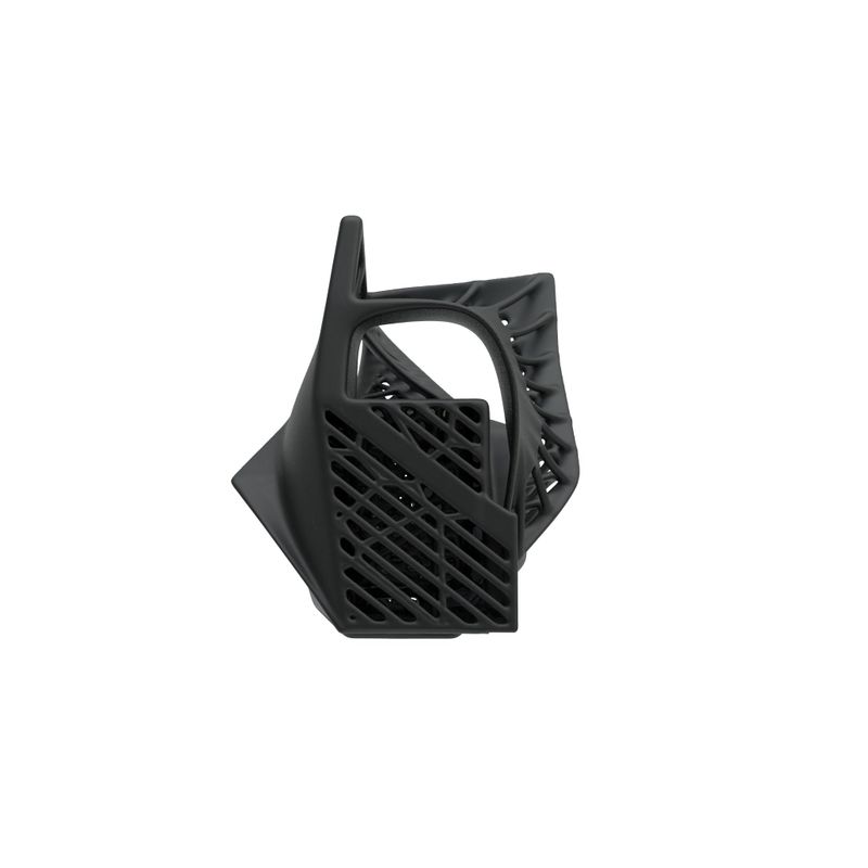 SCRY Thorn Minibag