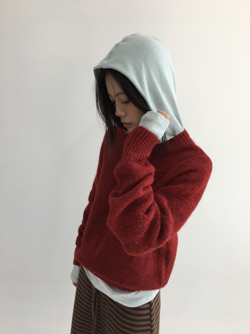 Witty Slim Hooded Long Sleeve (3color)