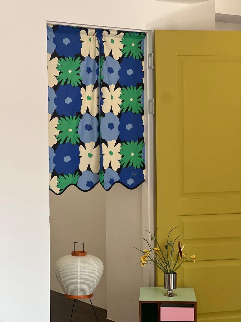 Door Curtain