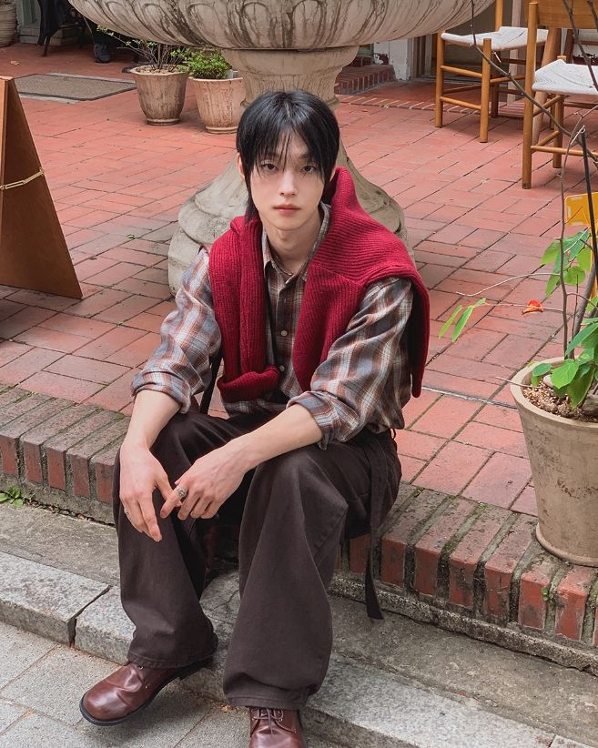Cheddon Crop Check Shirt