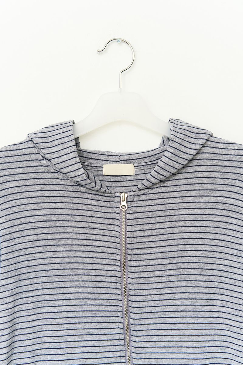 Eha Striped Zip hoodie