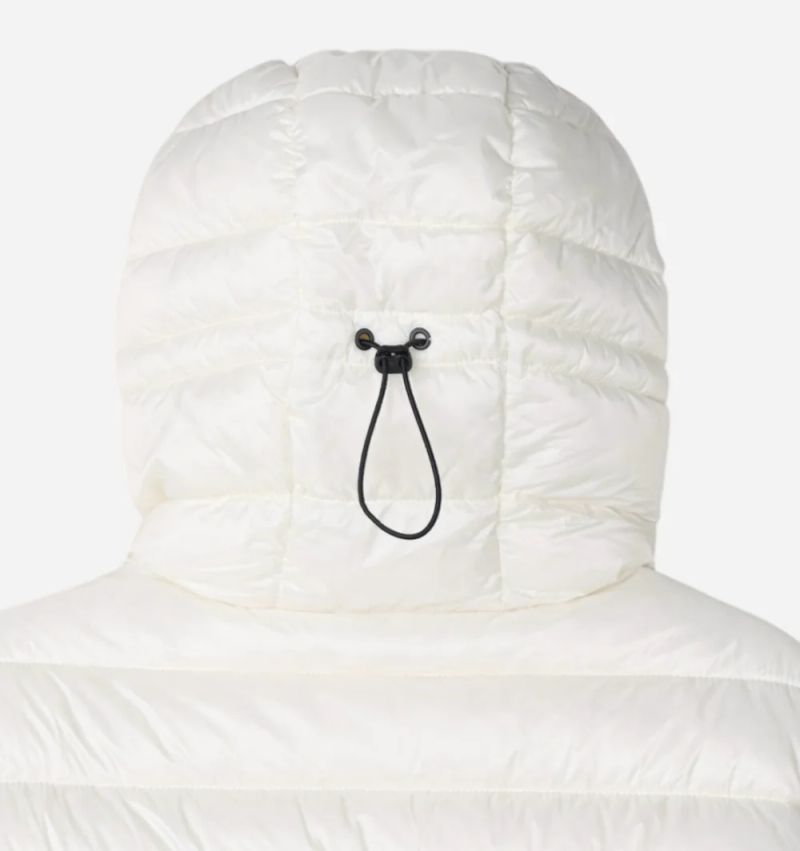 Hive Cropped Hood Lightweight Padding