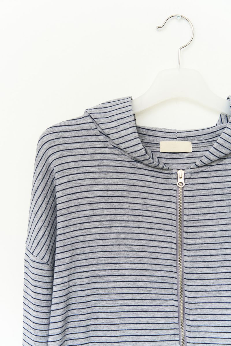 Eha Striped Zip hoodie