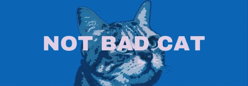 NOTBADCAT